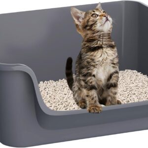 Cuddpaw Open-Top Large High Sides Cat Litter Box with Low Entrance, Suitable for Small and Elderly Cats, Anti-Splash, 19.8” x15.6”x7.3” for Indoor Use (Grey（Moon Gray）)